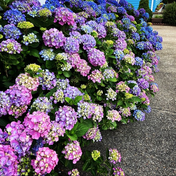 Meet your Posher, Kimberly - Picture 15 of 16